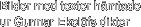 Bilder med texter hämtade  ur